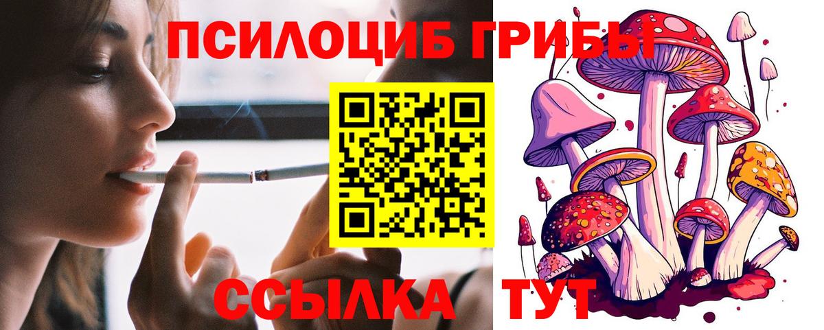 магазин продажи   Вход с VPN  Алексин  Псилоцибиновые грибы Psilocybine cubensis 