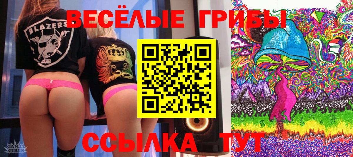 Псилоцибиновые грибы прущие грибы Алексин